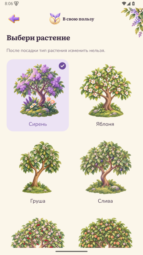 Выбор растения: сирень, яблоня, груша и слива
